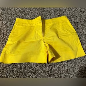 Loft Shorts